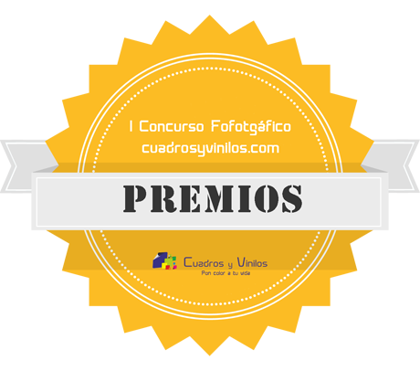 premios del concurso