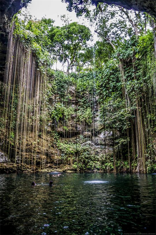 fotografía del autor: 'dpcfire' con titulo: 'cenote mexicano en quintana roo'