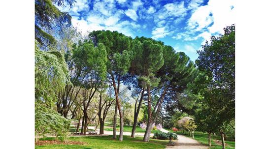 fotografía del autor: 'ivanperezdiaz' con titulo: 'postal parque del oeste'
