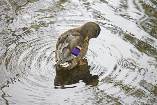 fotografía del autor: 'xatez' con titulo: '+9'
