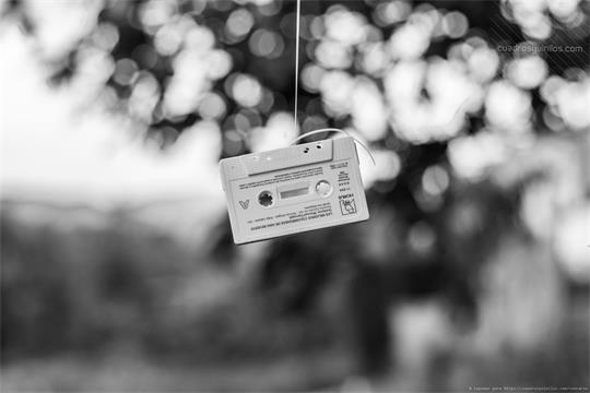 fotografía del autor: 'topomar' con titulo: 'espantapajaros'