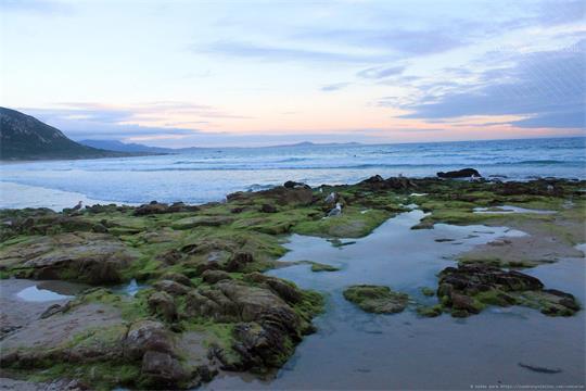 fotografía del autor: 'xatez' con titulo: 'paz'