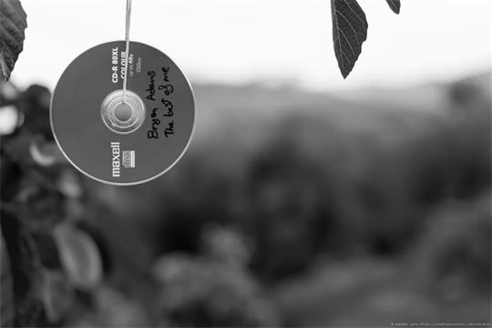 fotografía del autor: 'topomar' con titulo: 'espantapajaros ii'