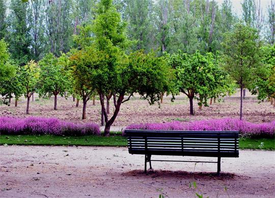 fotografía del autor: 'berzis93' con titulo: 'soledad'