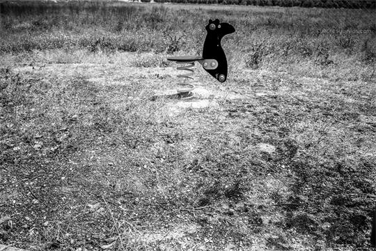 fotografía del autor: 'topomar' con titulo: 'titular'