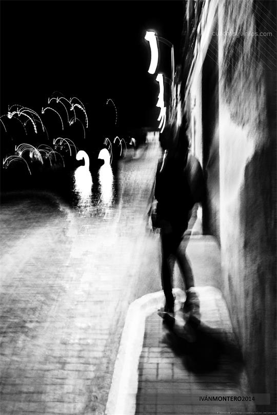 fotografía del autor: 'imontero48' con titulo: 'misterio'