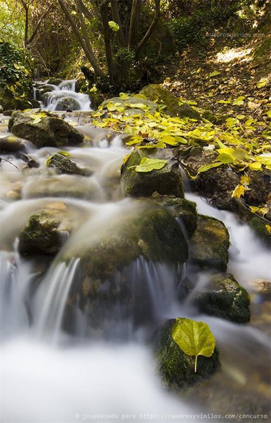 fotografía del autor: 'josekesada' con titulo: 'río frío (jaén)'