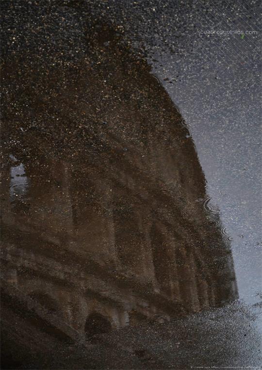 fotografía del autor: 'clara94' con titulo: 'reflejos'