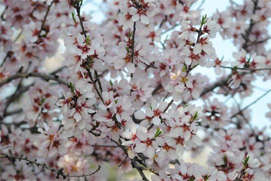 fotografía del autor: 'berzis93' con titulo: 'momentos irrepetibles'