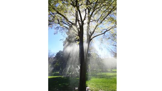 fotografía del autor: 'ivanperezdiaz' con titulo: 'rayos de agua'