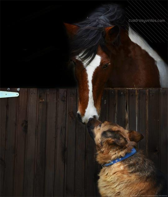 fotografía del autor: 'clara94' con titulo: 'amor 1.0'