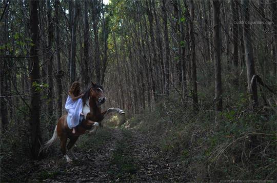 fotografía del autor: 'clara94' con titulo: 'bosque'