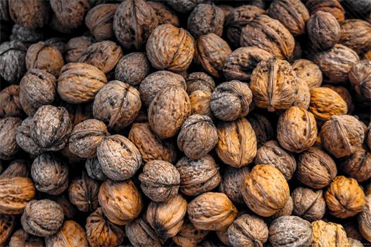 fotografía del autor: 'topomar' con titulo: 'papada'