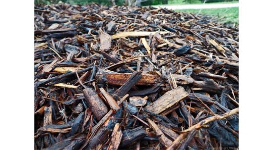 fotografía del autor: 'ivanperezdiaz' con titulo: 'maderas'