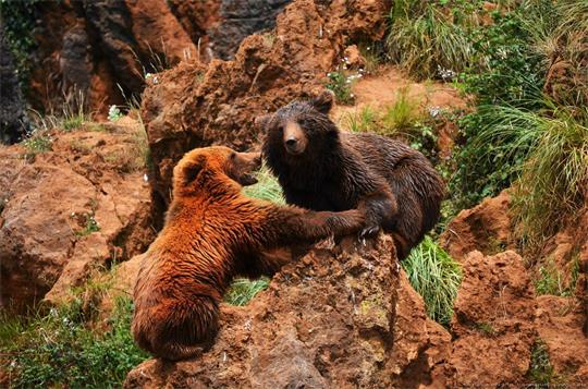 fotografía del autor: 'clara94' con titulo: 'juegos'