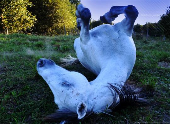 fotografía del autor: 'clara94' con titulo: 'a gusto'