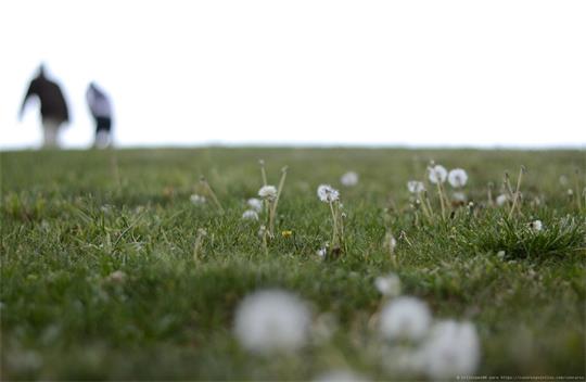 fotografía del autor: 'crislopez80' con titulo: 'paseo por el parque'