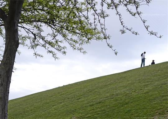fotografía del autor: 'crislopez80' con titulo: 'domingo'