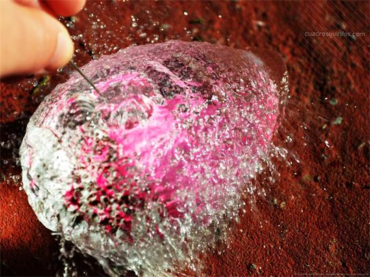 fotografía del autor: 'clara94' con titulo: 'explosión'