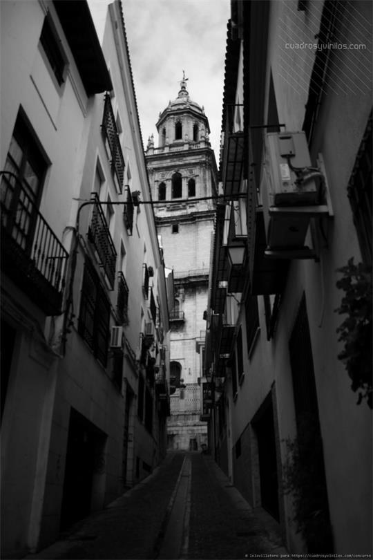 fotografía del autor: 'lolavillatoro' con titulo: 'entremuros'