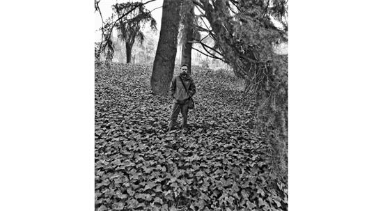 fotografía del autor: 'ivanperezdiaz' con titulo: 'ivan entre hiedra'