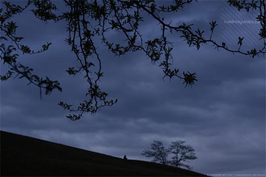 fotografía del autor: 'crislopez80' con titulo: 'cae la noche'