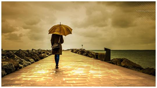 fotografía del autor: 'imontero48' con titulo: 'horizonte vertical'