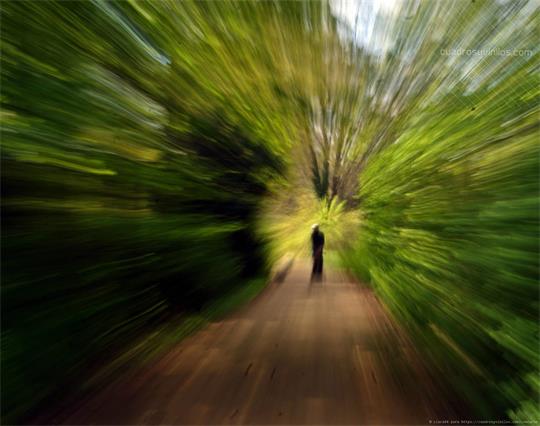 fotografía del autor: 'clara94' con titulo: 'zoom'