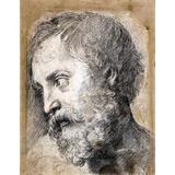 Cabeza de un apóstol en la Transfiguración