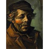 Cabeza de un campesino