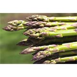 Alimento, espárragos