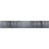 Los lirios de agua - Borrar la mañana con los sauces