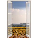 Fotomural  Trampantojo P 42