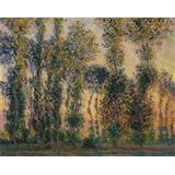 Poplars at Giverny, 1888