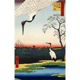 Minowa , Kanasugi , Mikawashima