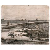 Paisaje con troncos en pantano