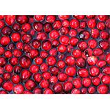 Fruta, arándanos agrios