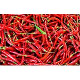 Alimento, guindillas