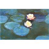 Nenúfares , 1897-1899 01