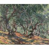 Olive Trees in Bordighera, 1884