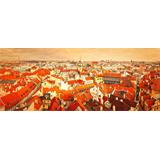 Bonita vista de la ciudad de Praga