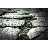 Una calle de Berlín