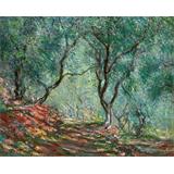 Olive Tree Wood in the Moreno Garden, 1884