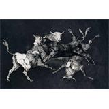 Disparate de toritos. Lluvia de toros