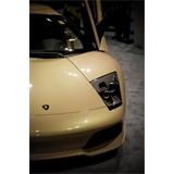 Lamborghini beig