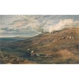 Dartmoor - La Fuente de la Tamar y el Torridge