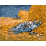 Mediodía - descanso del trabajo