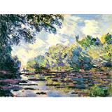 Section of the Seine, near Giverny, 1885