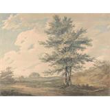 Paisaje con árboles y Cifras