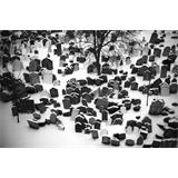 Viejo cementerio judío en Praga